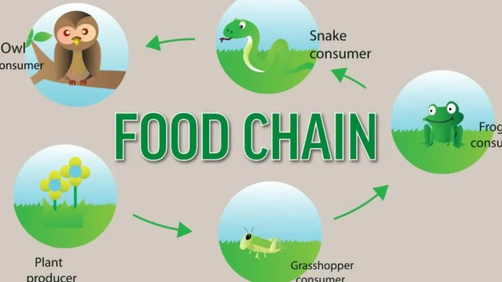 Les Tendances qui Façonnent le Marché de l’Apparel E-Commerce de 2025 à 2030 : La Montée de la Préférence des Consommateurs pour des Expériences d’Achat Personnalisées Renforce la Demande pour des Recommandations de Mode Alimentées par l’IA